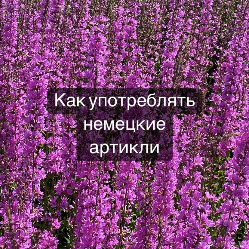 Как употреблять немецкие артикли | Немецкий язык онлайн | Дзен