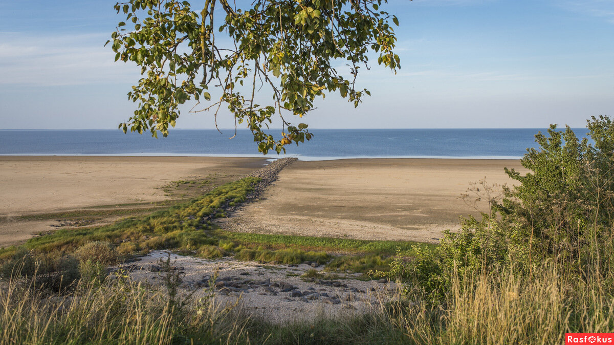 Новгородской море