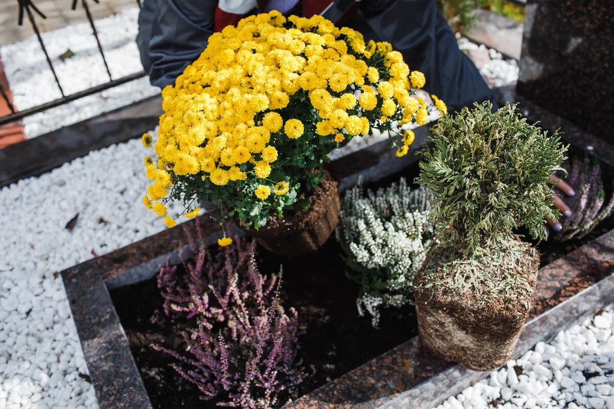 Как ухаживать за растениями на могиле?