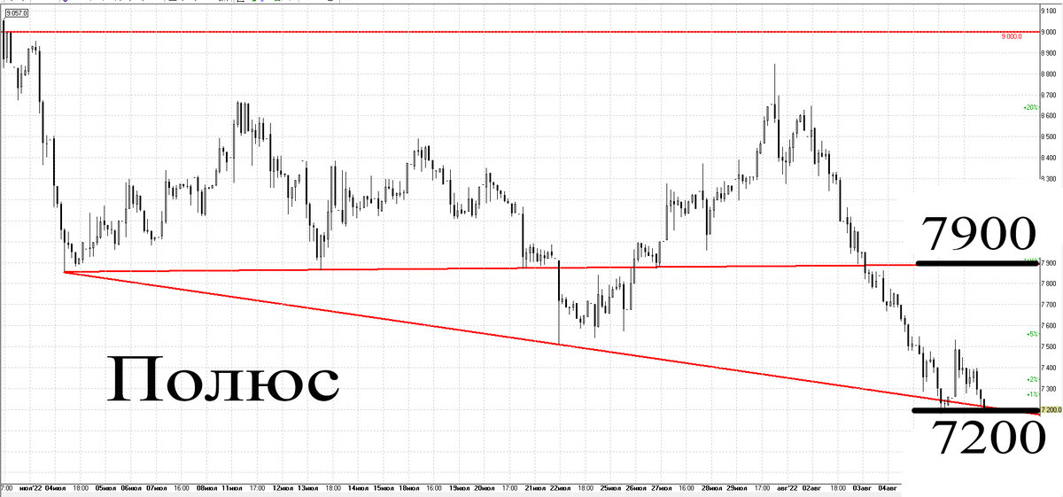 Часовой график