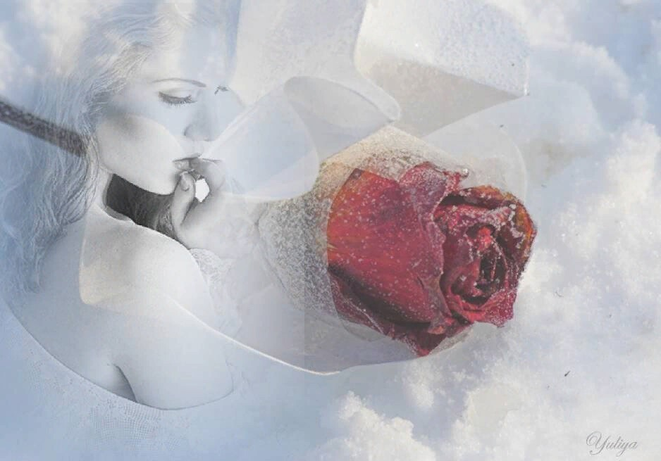 Непокорная моя любовь любит. Замерзшее сердце. Женское сердце. Нежность души. Розы на снегу.