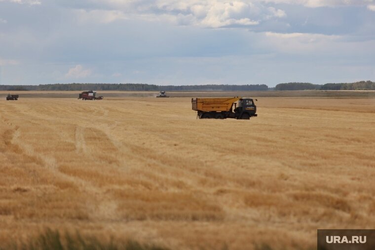    Часть украинского зерна поставляется в бедные страны, заявила Урсула фон дер Ляйен