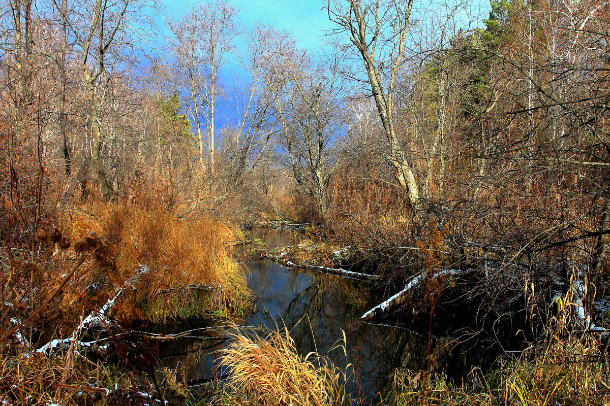 Даже Большой Маук, не говоря уж про Средний и Малый, язык не поворачивается назвать рекой. Может быть, именно поэтому на многих картах он обозначен как ручей