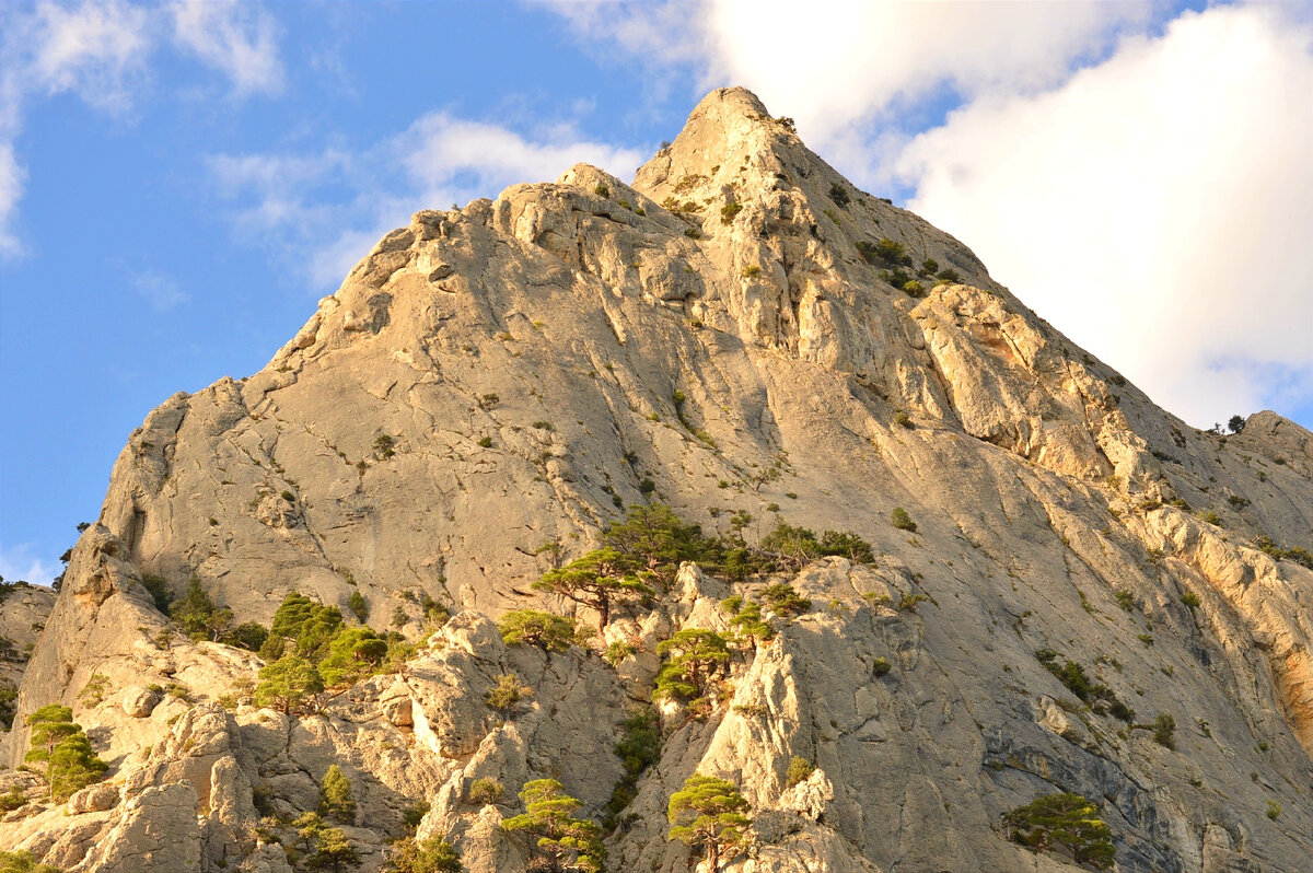 Гора Сокол, Крым