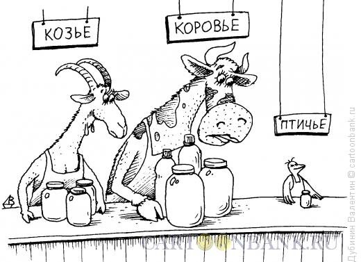 Фото с сайта Яндекс картинки. 