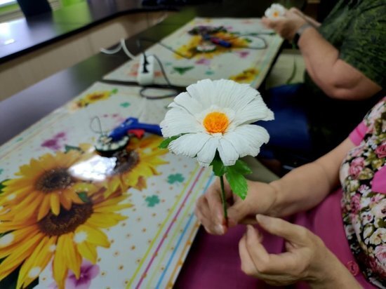   МСЦ «Содействие»