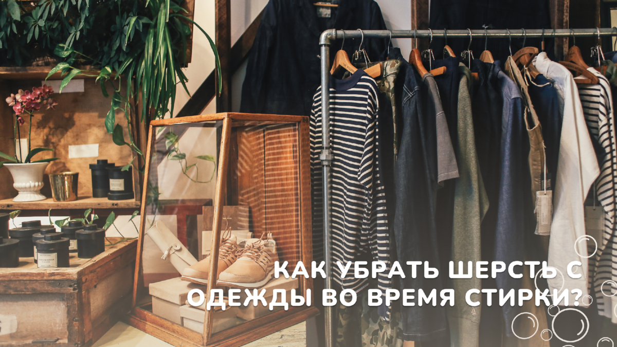 Как убрать шерсть с одежды во время стирки? | dr MAX - уборка, чистота,  порядок и уют в доме | Дзен