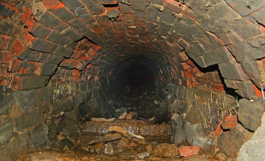 фото яндекс