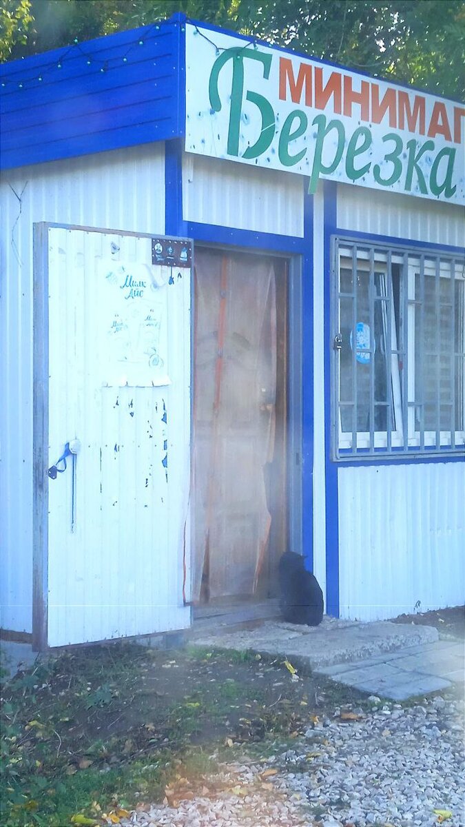 пустите котика