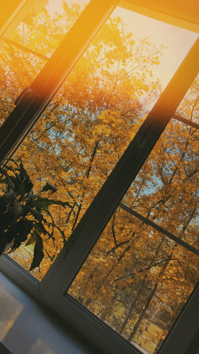 🍁🍂❤️