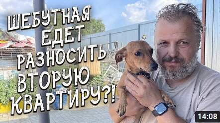 Спасение животных / Искра вернулась в приют / И едет в новый дом?!