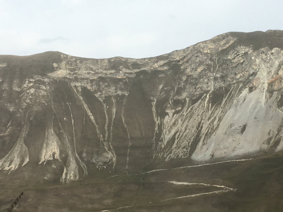 Мне увиделось, что здесь сидят несколько пантер