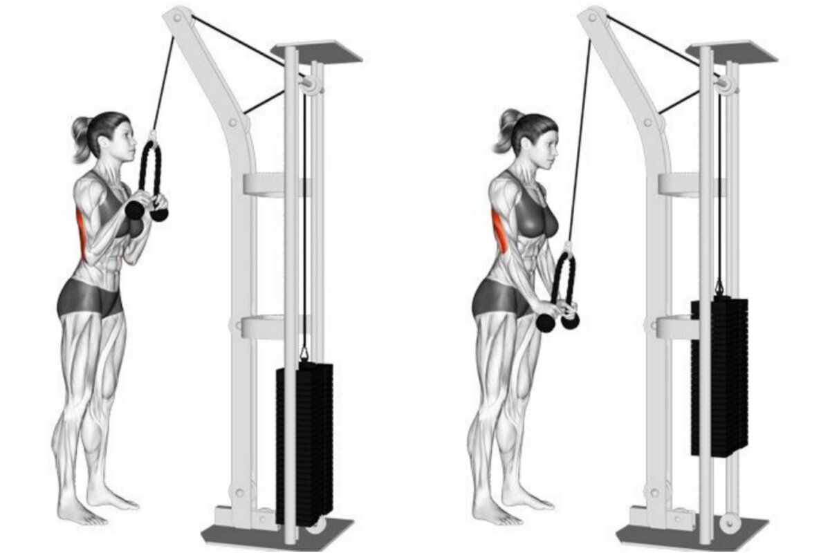 разгибание на трицепс на верхнем блоке. тренажер скотта трицепс. разгибание рук в тренажере на трицепс. скамья powertec workbench. 315mt.