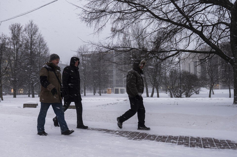     МЧС предупредило о сильном ветре в Ленобласти 31 января Юлия ПЫХАЛОВА