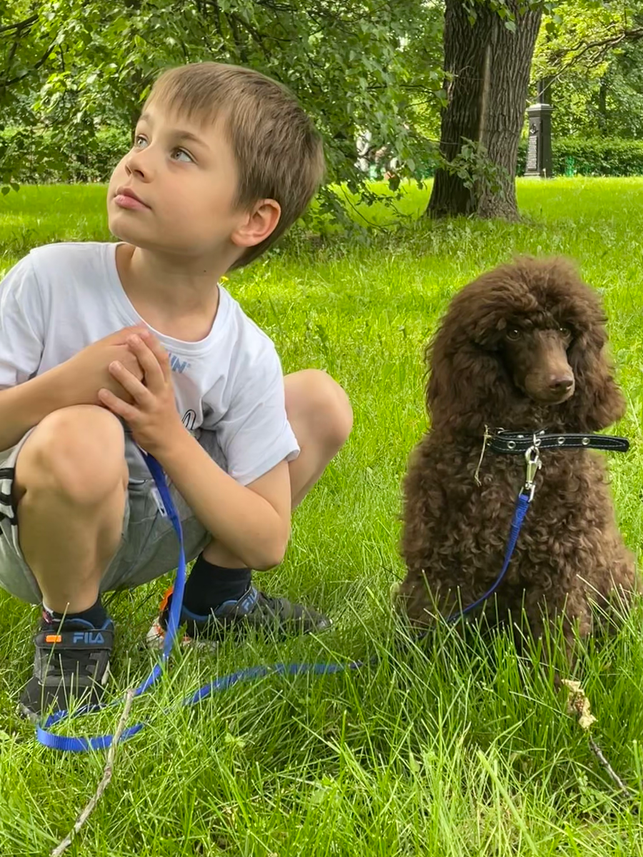Первое знакомство Вани и Леона. Фото автора