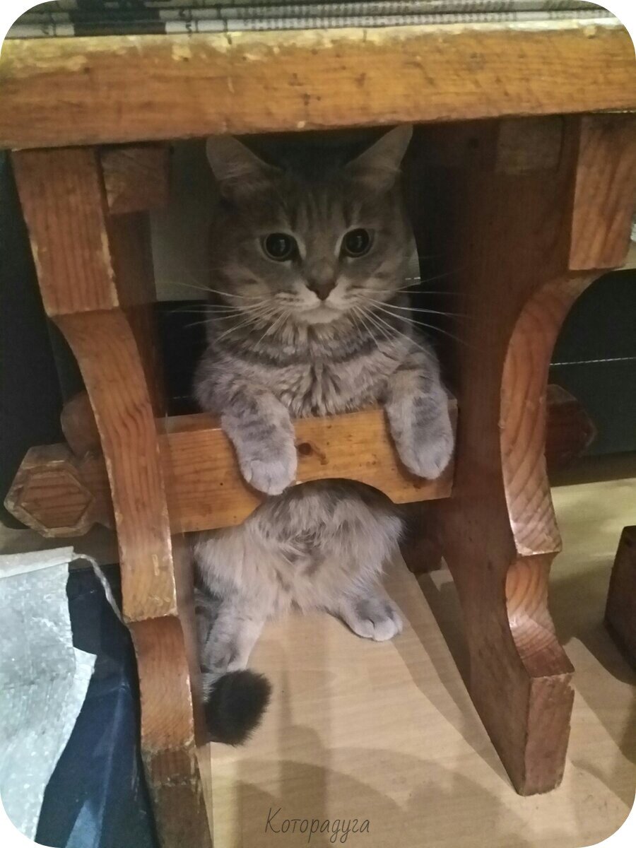 Источник: pinterest.com