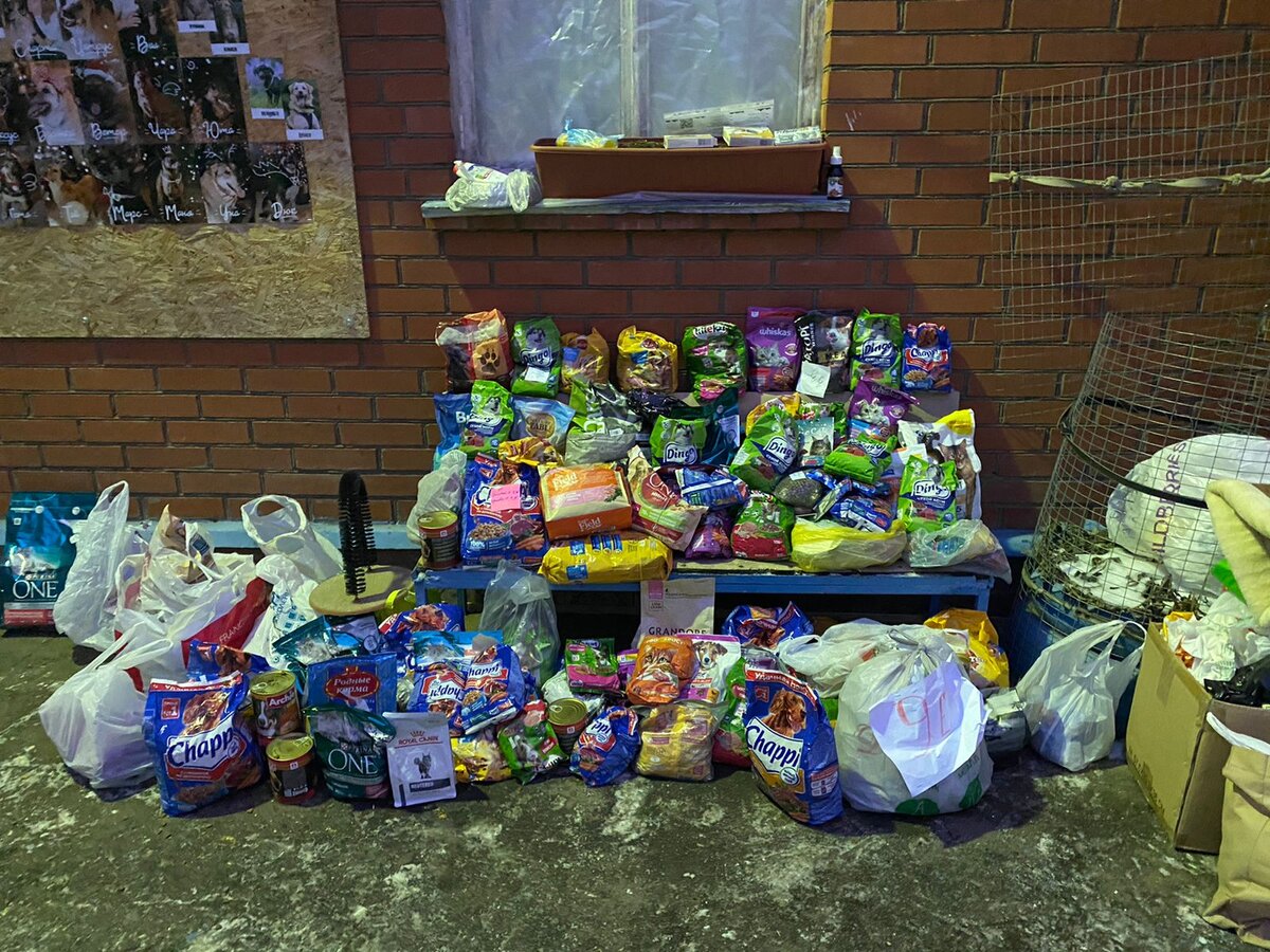 Корм собранный школьниками школы 1506  