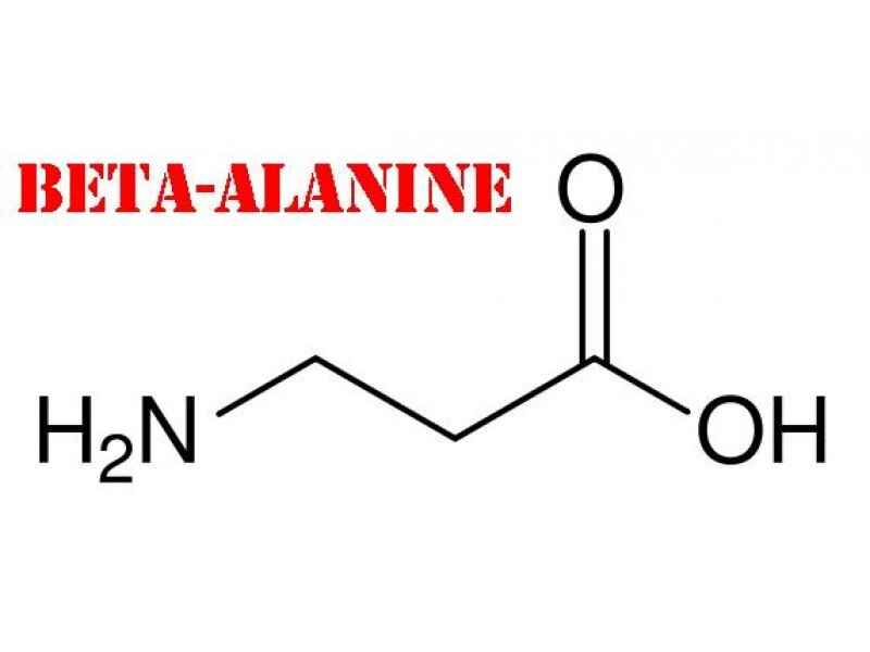 Схема приема бета аланина