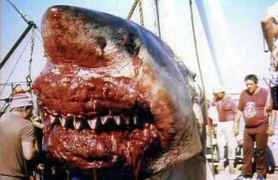 Тот самый момент,когда улов хочется выпустить обратно.Причем поскорее.