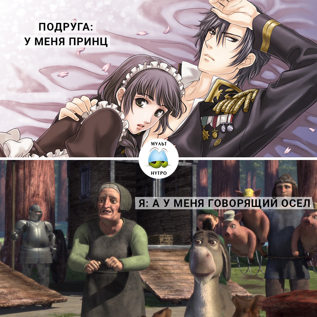 (аниме «Кинетограф: Великолепие и благородство семьи» и мультфильм «Шрек») 