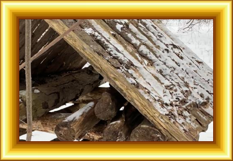 избушка Лешего, п. Сиверский