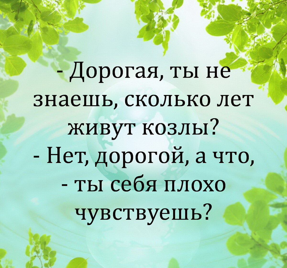 Ничто так не повышает квалификацию водителя, как едущая сзади машина ГАИ...  Порция юмора. | Юморные просторы | Дзен