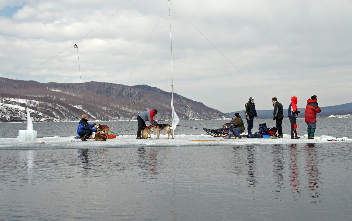 На  льдине собралась настоящая  команда. Фото Бориса Слепнева