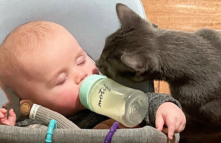 https://s3fs.bestfriends.org/s3fs-public/Cat-adoption-Ana-Merkulova-Bruce-Photo-3-courtesy-of-Alex-Kirk.jpg