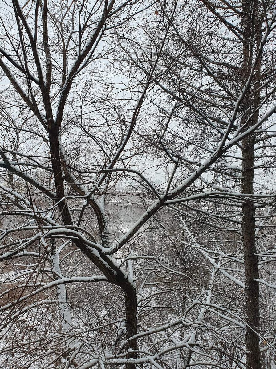 А у нас сегодня снег. Конец апреля, на минуточку