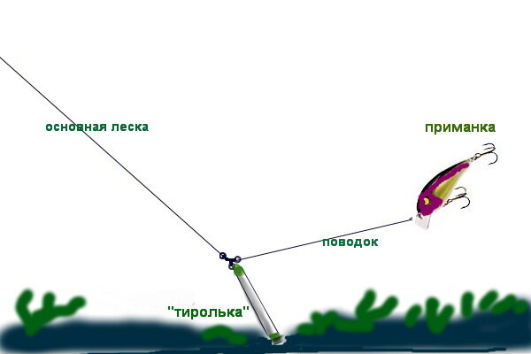 Фото с интернета