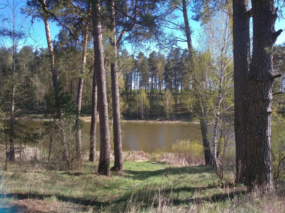 Живописное местечко Ольховка