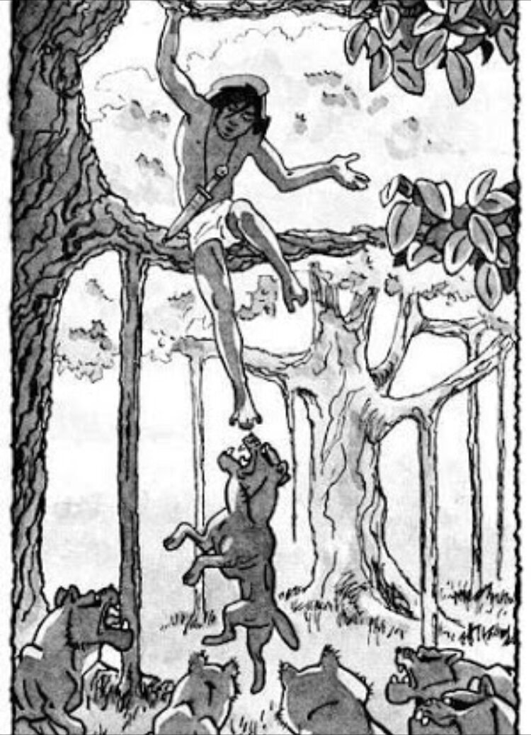 Маугли 1973 шерхан. Маугли 1969. Счастливой охоты маугли. Потому что ты квадробер маугли. Маугли 1973 багира.