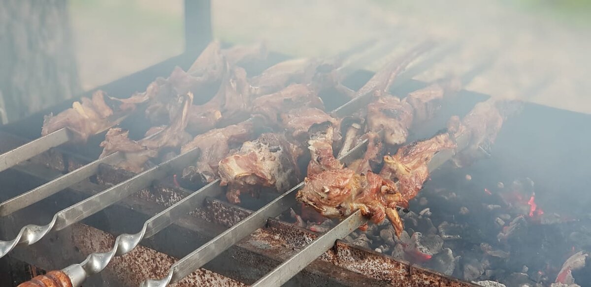 Наш любимый шашлык