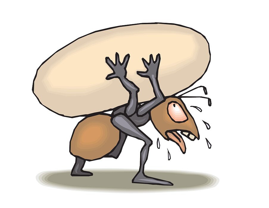 Clker-Free-Vector-Images с сайта Pixabay 