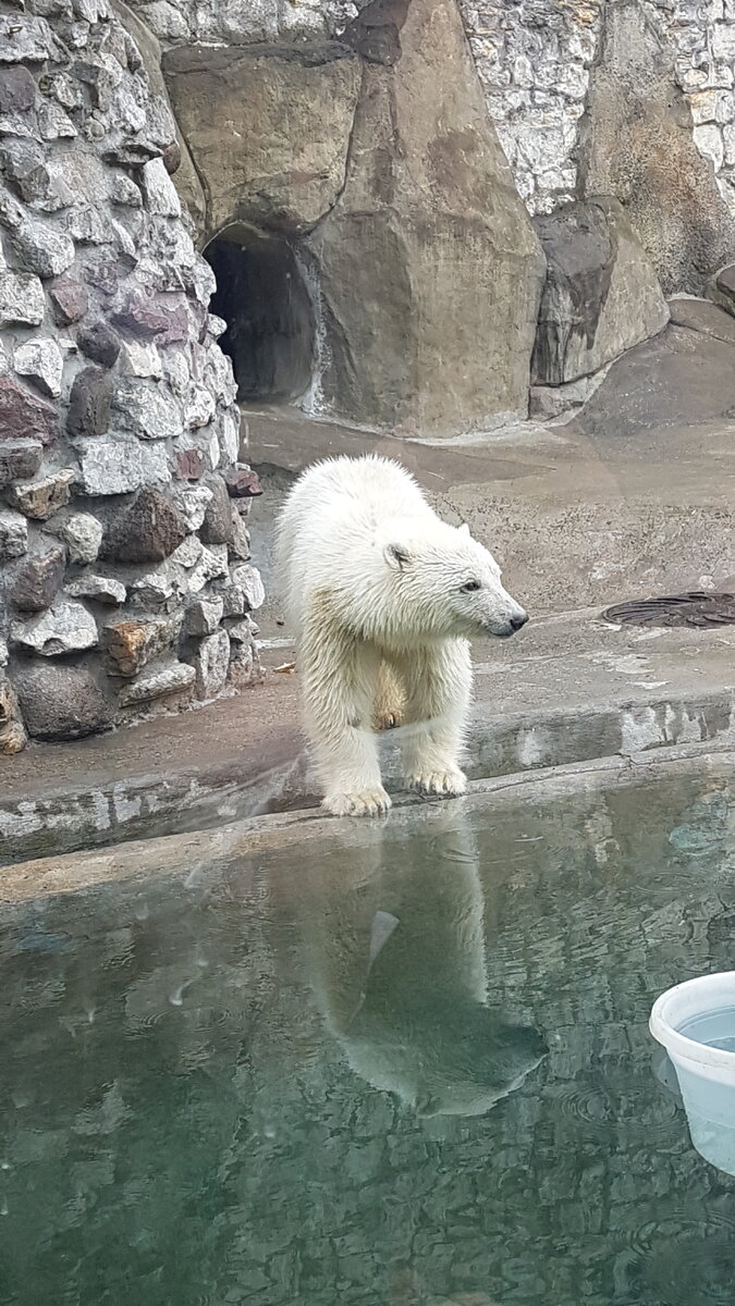 Есть и свой водоём. Фото автора