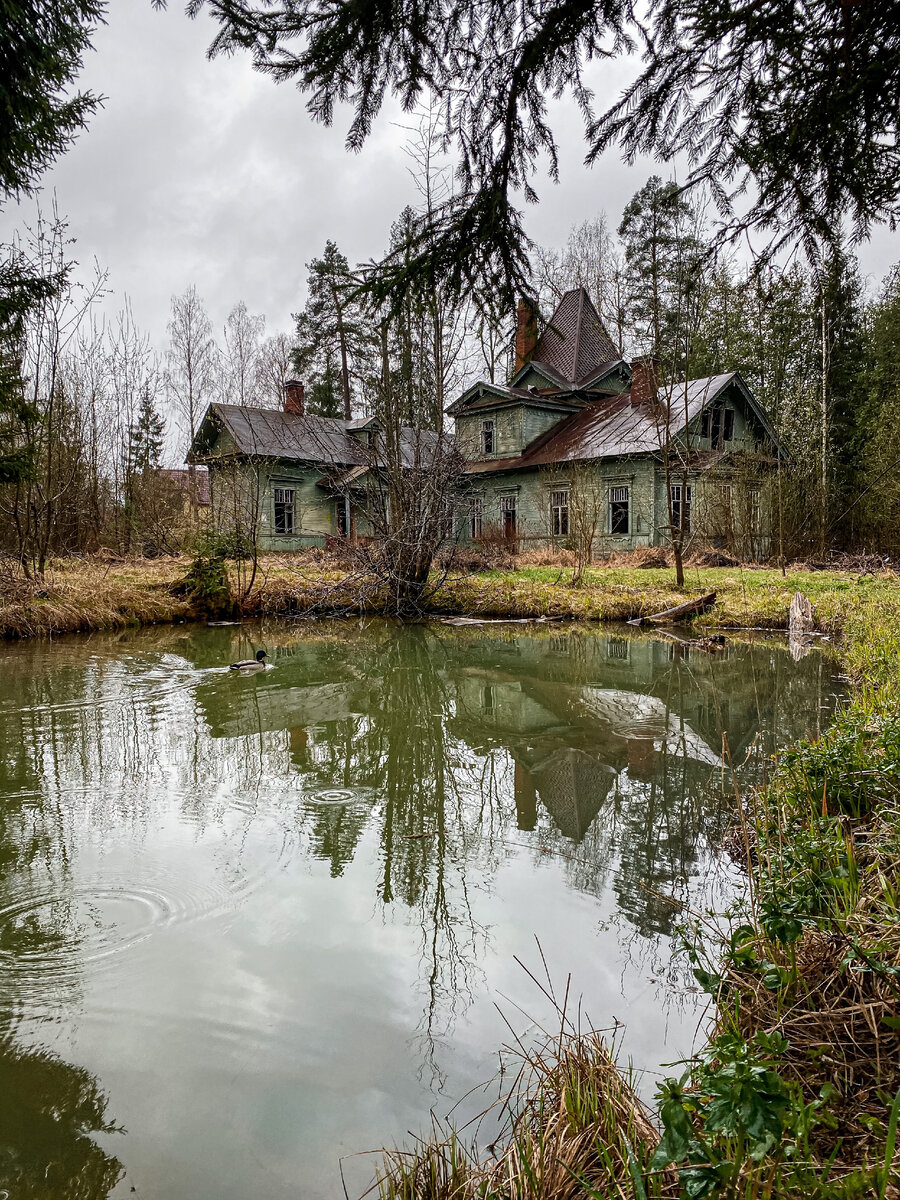 Фото автора