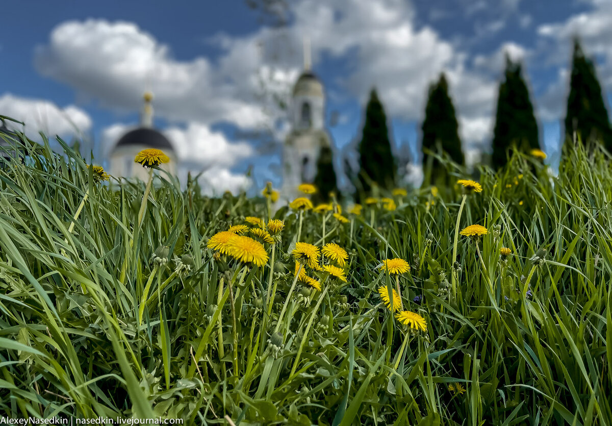 Все фото автора 