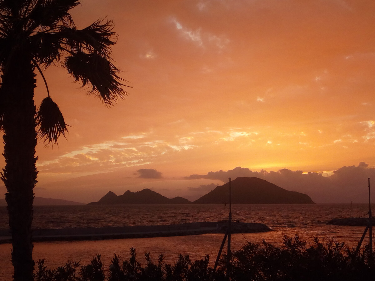 Фото сделано автором. Эгейское море, Тургутрейс, октябрь 2020 года