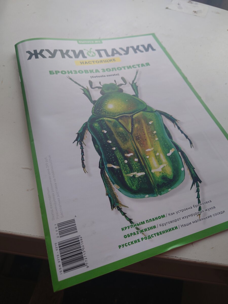 Собирали в детстве жучков? Тогда обратите внимание на эти журналы с  коллекцией насекомых! | ЭпоксиднаяФея (эпоксидная смола) | Дзен