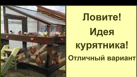 Курятник для дачи не только 2 в 1: строительство и обустройство. Птичник своим руками