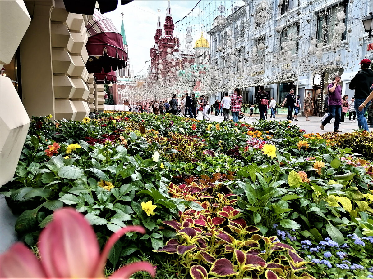 Вид с улицы Никольской