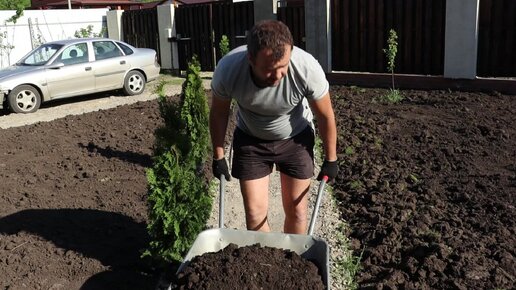 Благоустройство УЧАСТКА ЗАГОРОДНОГО дома | Посадка туи