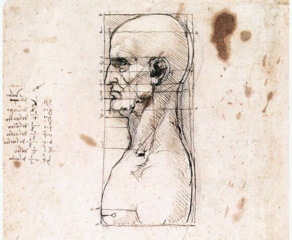 Маска для оценки пропорций и симметрии лица.