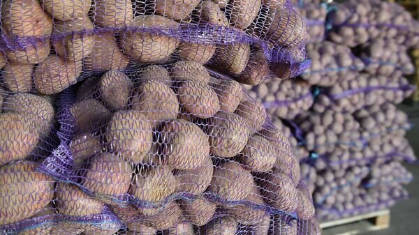   © Sputnik / Виктор Толочко