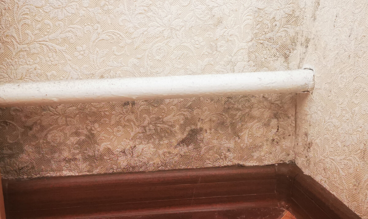 Чаще всего плесень образуется в углах комнат