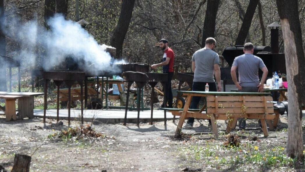     В Волжском за два дня хотят сделать в парке «Новый город» площадку для барбекю. На создание такой зоны выделяется чуть более полумиллиона рублей.