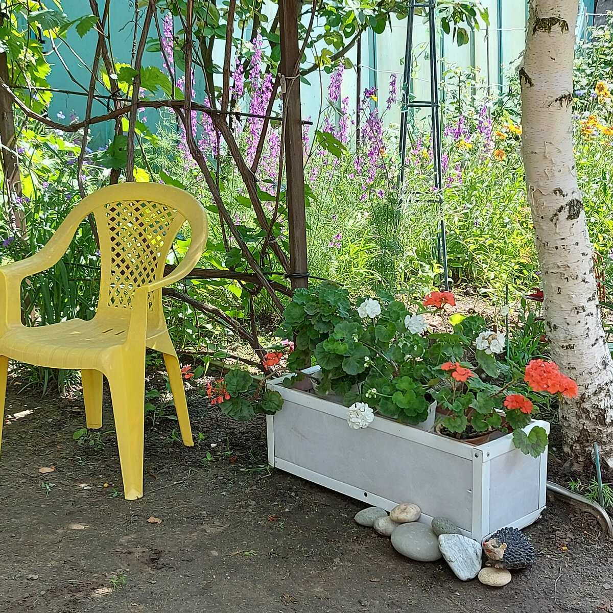 Фото автора.