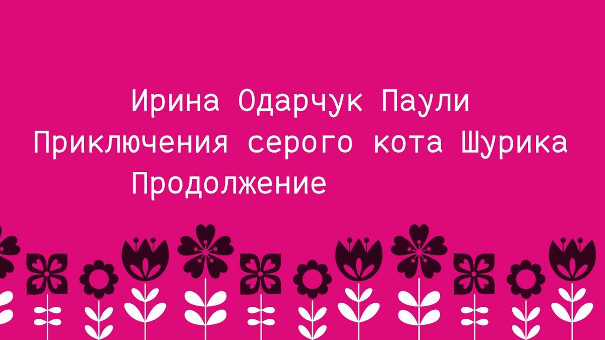 Ирина Одарчук Паули Приключения серого кота Шурика продолжение