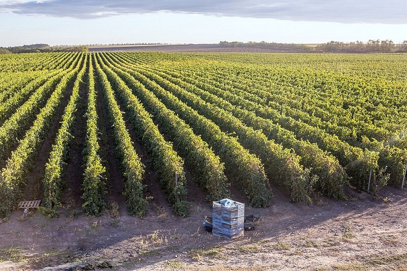 Иллюстрация из открытых источников