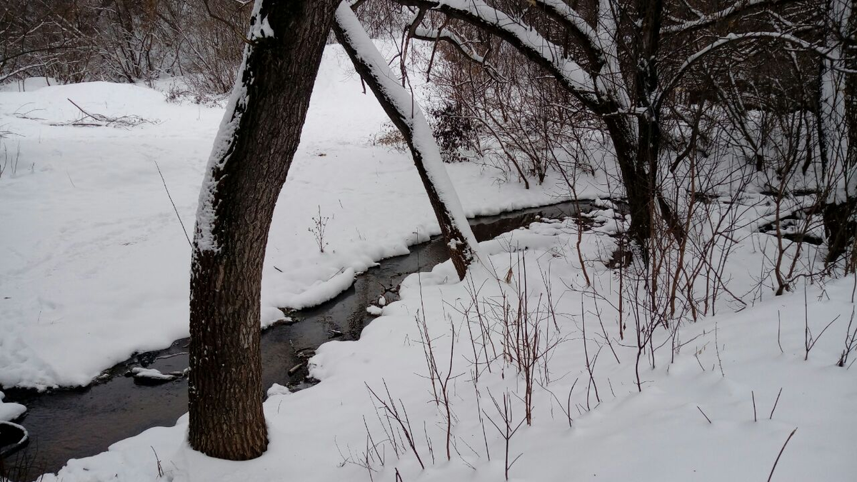 Фото автора.